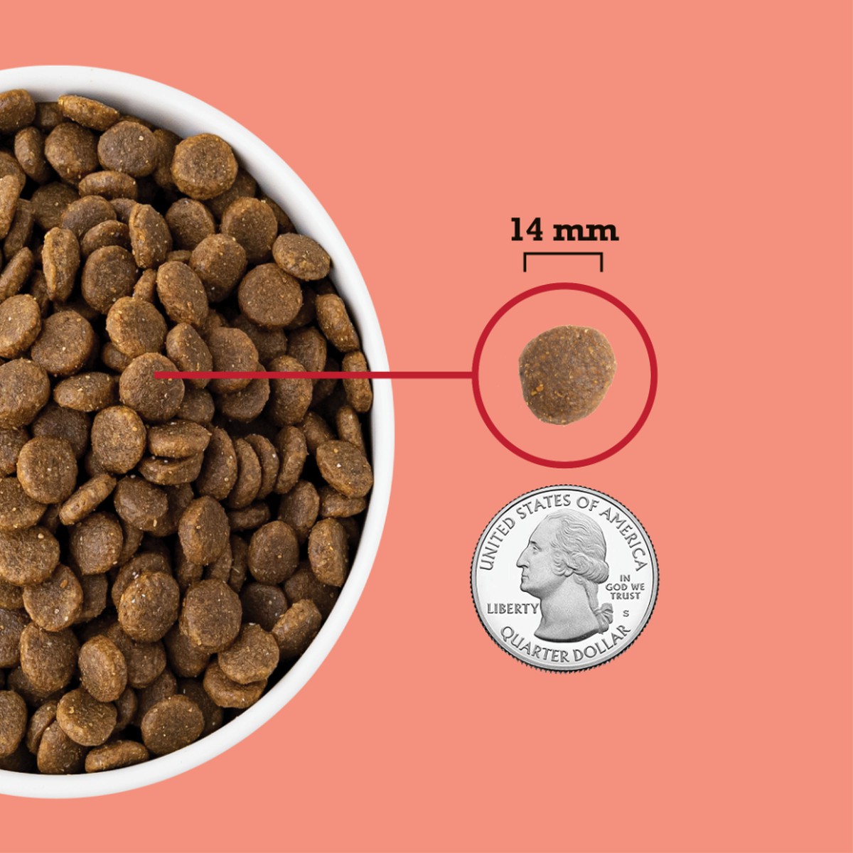 Acana Red Meat Grain Free Dry Dog Food 4.5lb | 361504EBD