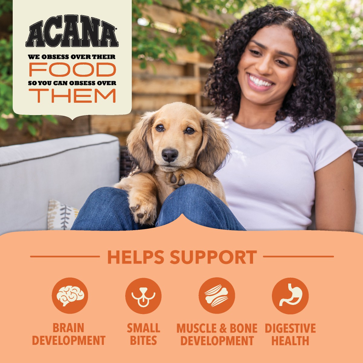 Acana Wholesome Grains, Puppy Dry Dog Food 22.5lb | 309621TGC